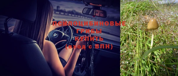 тгк Аркадак