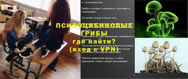 не бодяженный Арсеньев